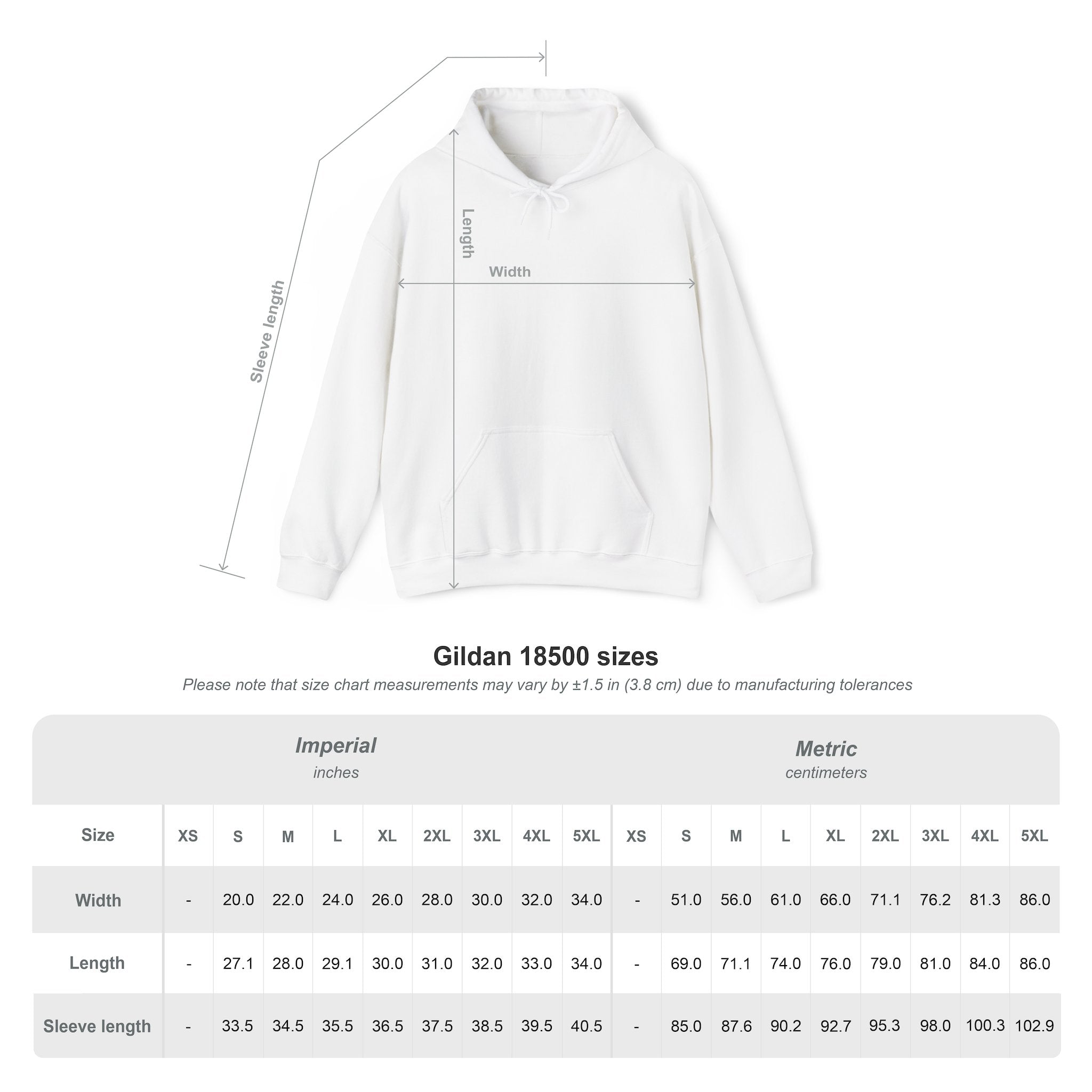 Lion Design Hoodie — 'Lion Behind Me' Graphic Pullover